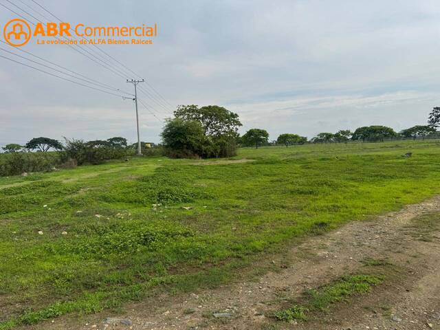 #5443 - Terrenos Industriales para Venta en Daule - G - 2